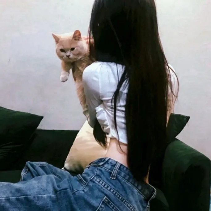 飙客找麻烦