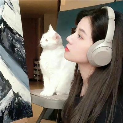 铁马金军